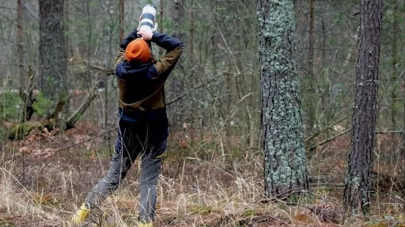 В Подмосковье зафиксировали 130 видов птиц в рамках проекта «Российская зима 2025-2026»