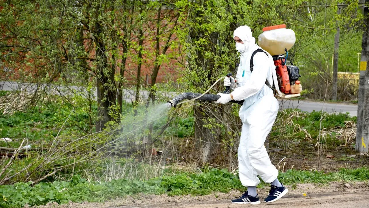 Свыше 2 тыс га обработано от борщевика в Сергиево-Посадском округе