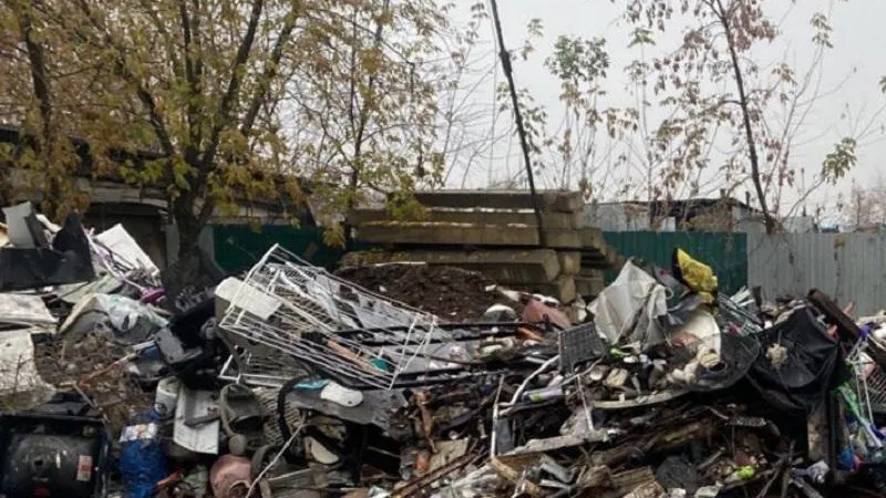 Незаконную свалку ликвидируют вблизи деревни Беляниново округа Мытищах