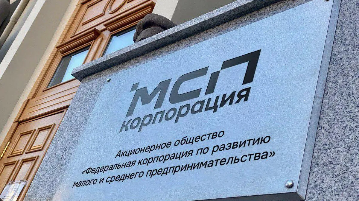 Бизнесменам Подмосковья объяснили, что изменится в законодательстве для МСП в 2025 году