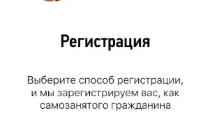 Более 1,2 тыс жителей Подольска используют мобильное приложение «Мой налог»