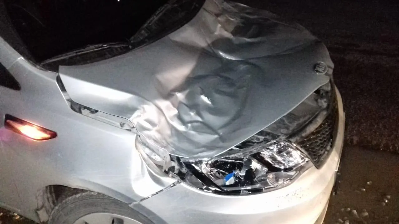 В Подольске дерево упало на ехавший автомобиль