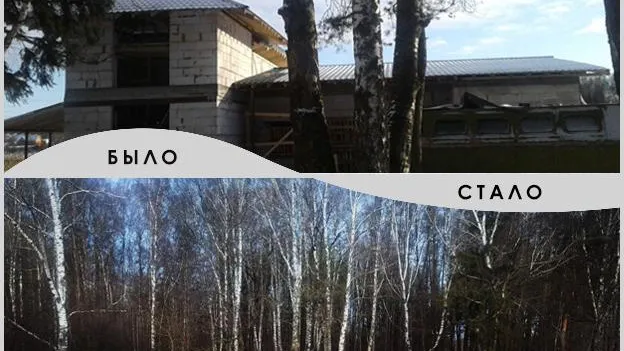 Нелегальную мастерскую по обработке древесины снесли в Балашихе