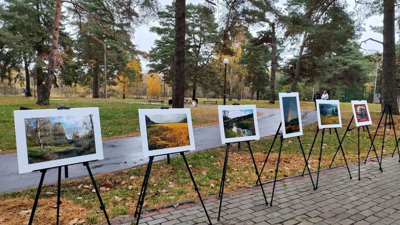 В 60 подмосковных парках провели мероприятие «Территория фотоискусства»