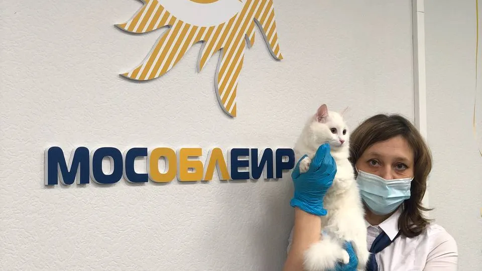 Новый офис МосОблЕИРЦ заработал в Красногорске