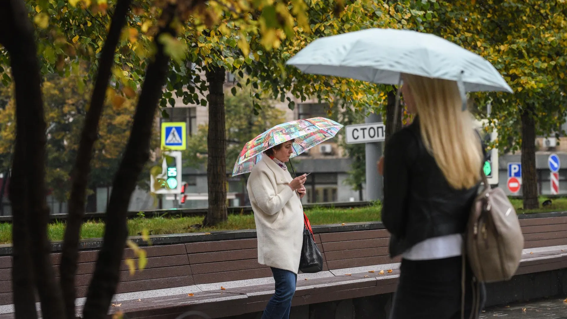 До 11 градусов тепла и дождь ожидается в Московском регионе в субботу