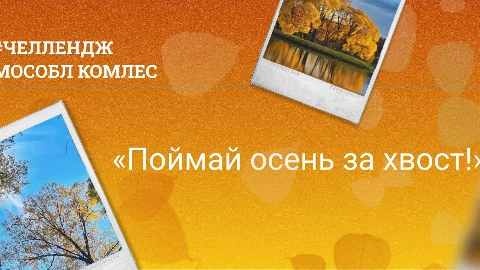 В Подмосковье запустили челлендж «Поймай золотую осень за хвост!»