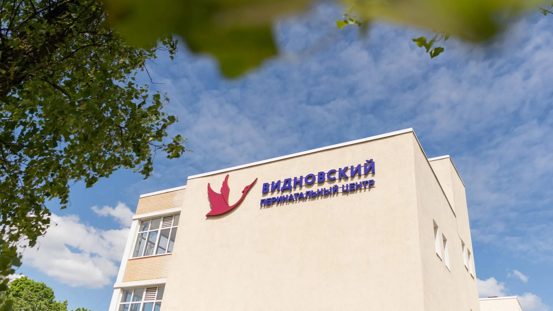 Самого маленького новорожденного в Подмосковье выходили врачи в Видном