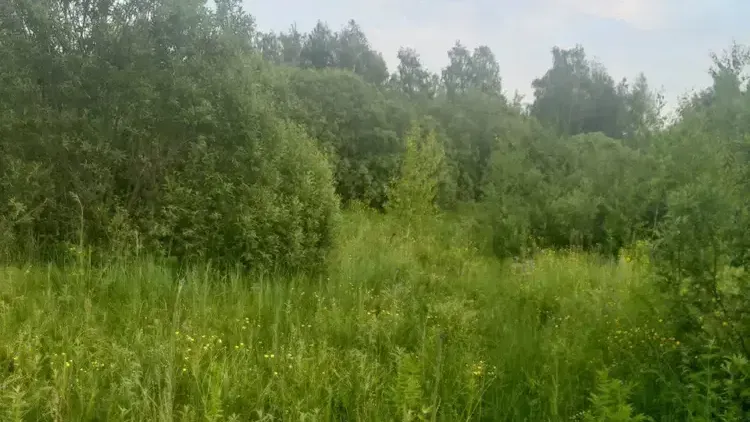 Стал известен топ-3 округов Подмосковья по объектам на торгах за неделю