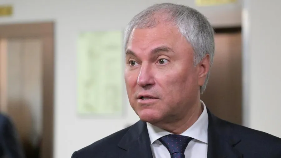 Володин: за полгода число депортированных из РФ мигрантов выросло на 65,5%