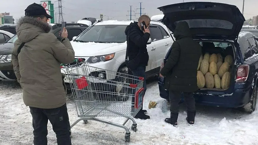 В Мытищах ликвидировали 150 кг дынь, незаконно продававшихся на парковке