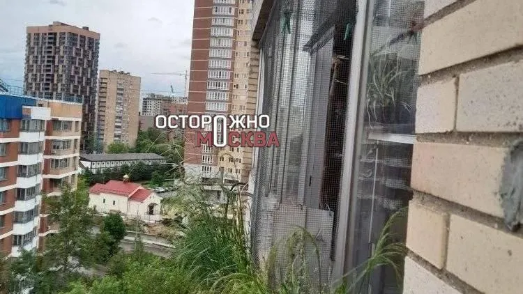 Шесть кошек несколько дней закрыты в квартире умершего хозяина в Москве