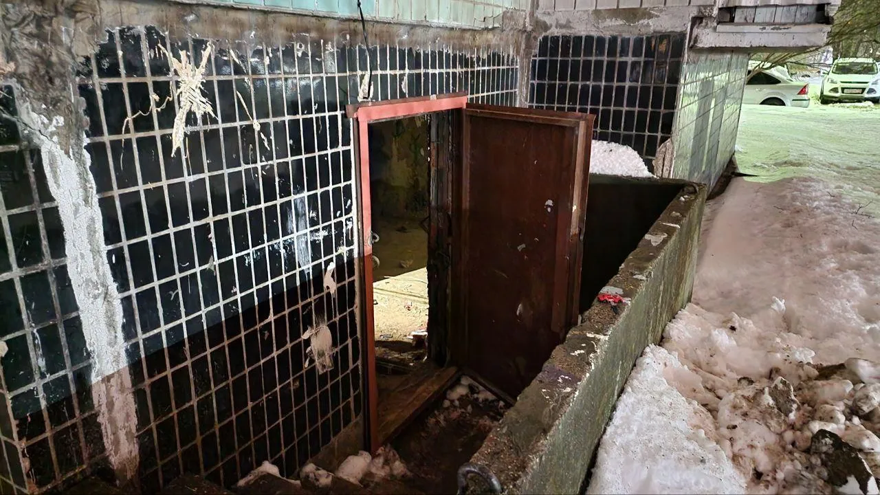 В подвале жилого дома в Люберцах ликвидировали общежитие, где проживали бездомные