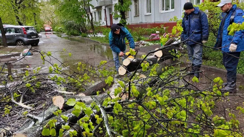 В Королеве оперативно устраняют последствия непогоды