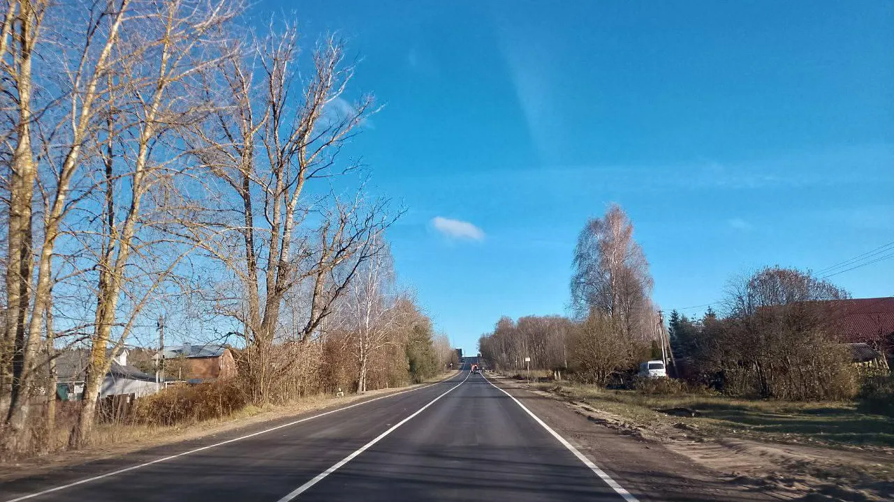В Подмосковье отремонтировали 50 км дорог к приютам для бездомных животных