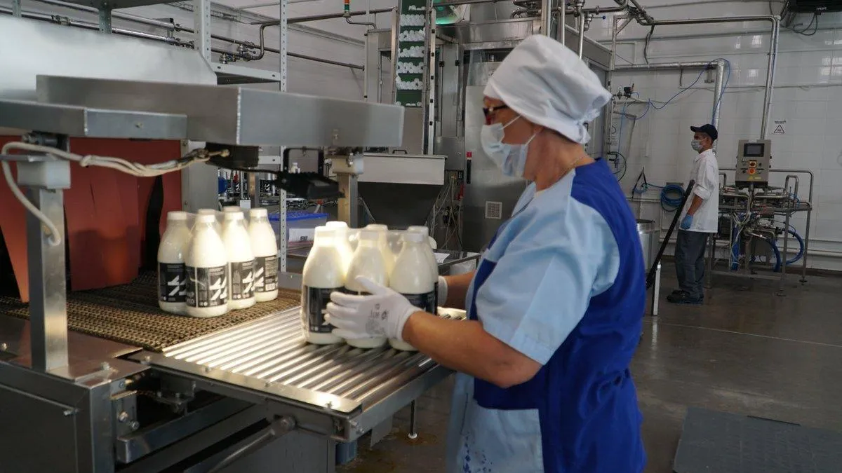 Молочный завод в Дмитровском округе запустил линейку безлактозной продукции