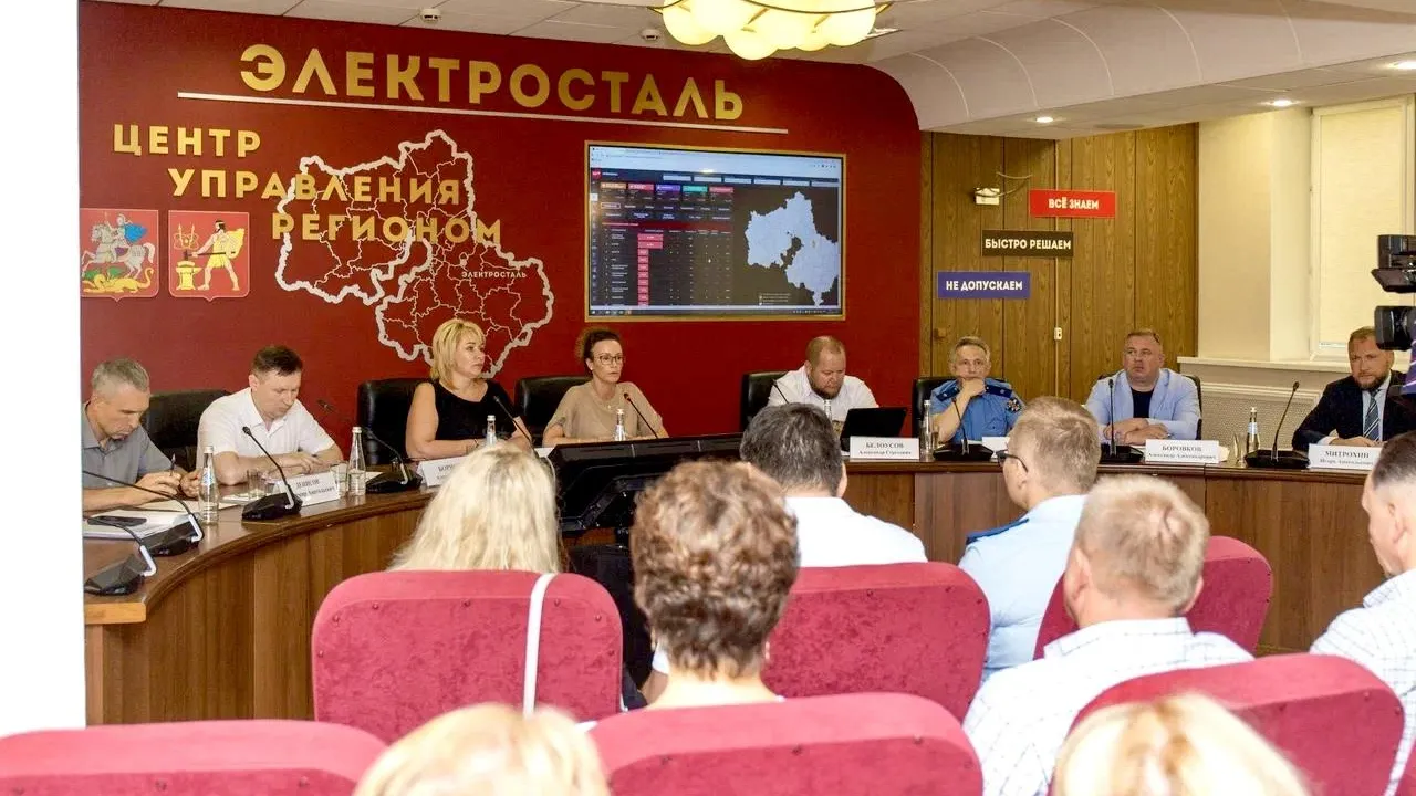Выездная проверка содержания территорий состоялась в городском округе Электросталь