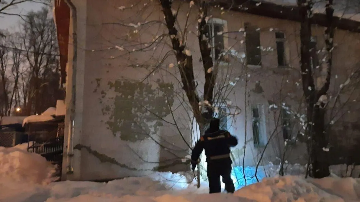Спасатели Подмосковья сняли кота, который двое суток просидел на дереве