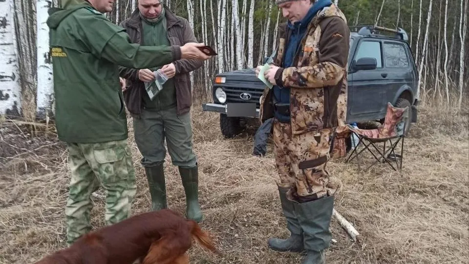 В Подмосковье с начала года зафиксировано более 160 правонарушений в сфере охоты