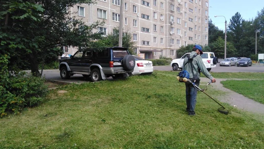 По пяти адресам в микрорайоне Подольска подстригли кусты и покосили траву