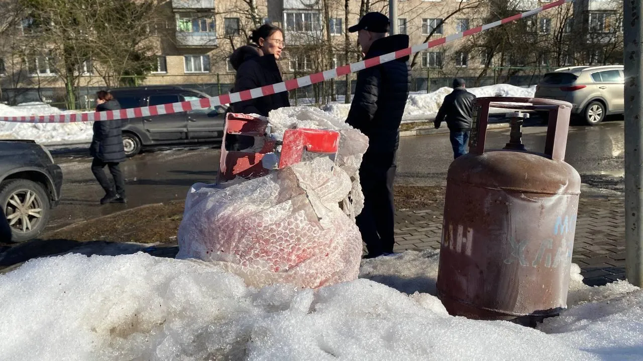 Анна Артюшина