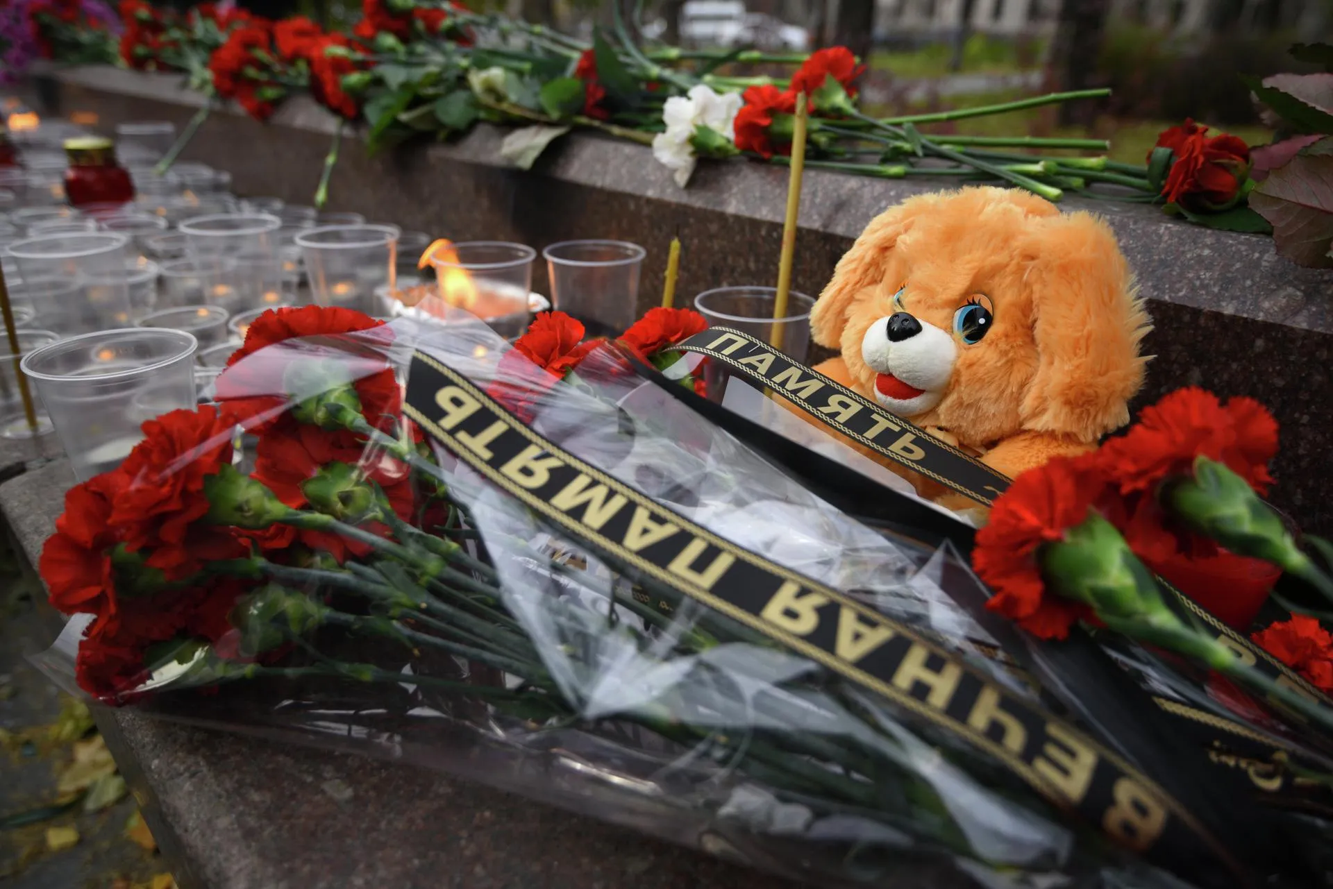 Александр Кожохин