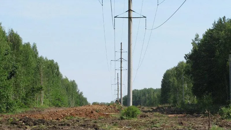 Свыше 2 тыс га просек линий электропередачи расчистили в Подмосковье