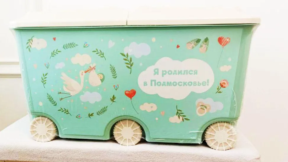 В роддоме Подольска вручили 375 наборов «Я родился в Подмосковье!» в 2024 году