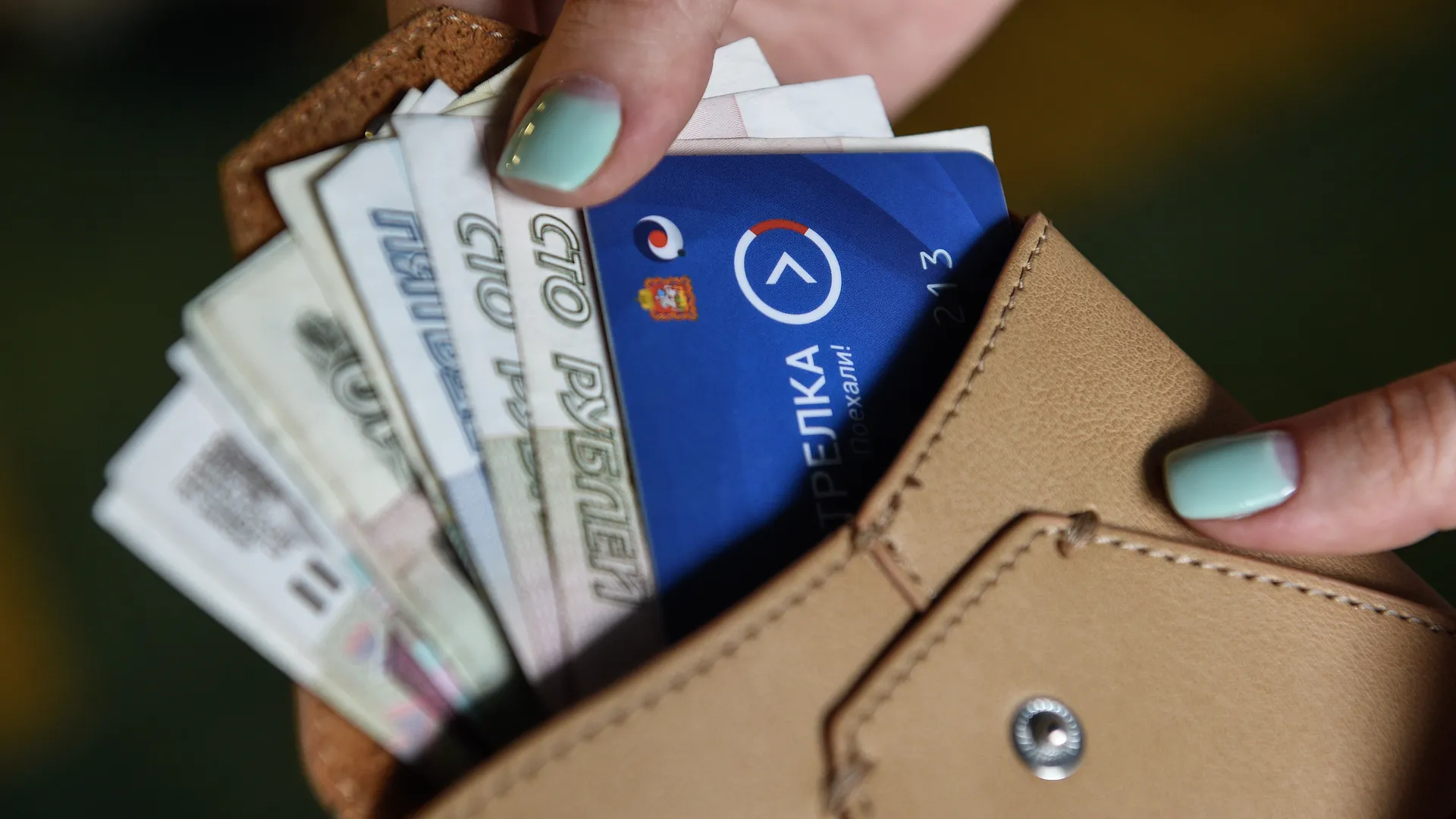 Депутат предложил скинуться по 50 руб и купить Калифорнию, пока «Анапа в мазуте»