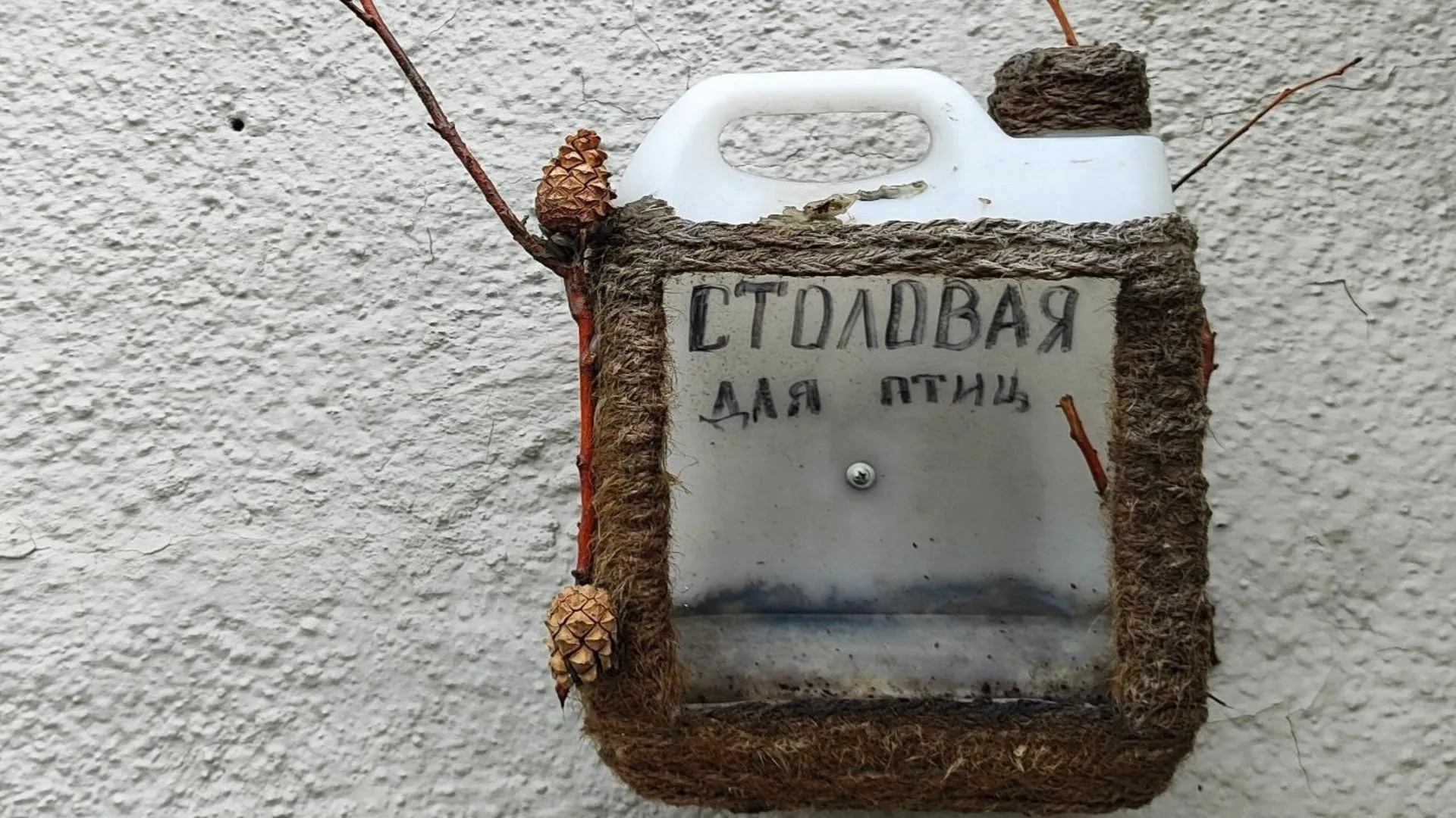 Фото: Сiбдепо