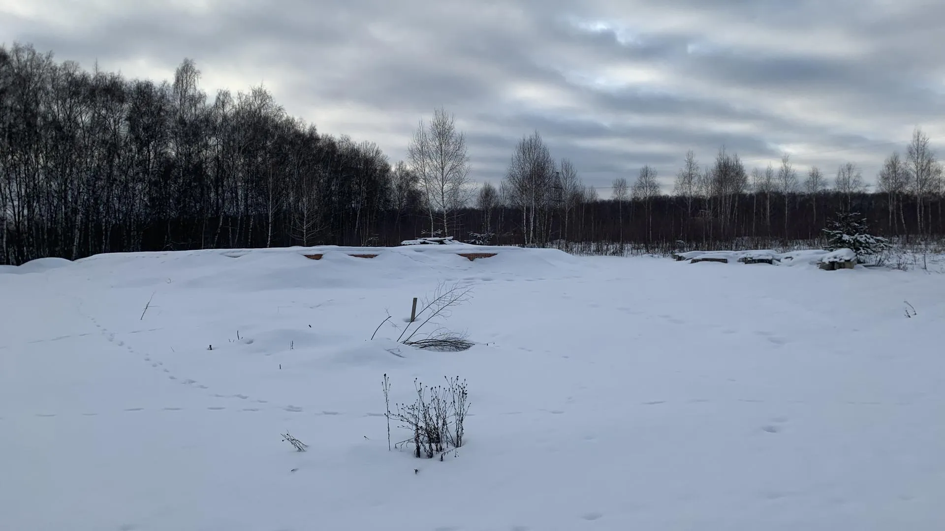 Многодетные семьи из Ступина получают бесплатные земельные участки