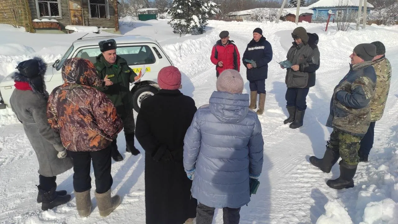 В округе Шатура провели встречи о санитарных рубках в лесах