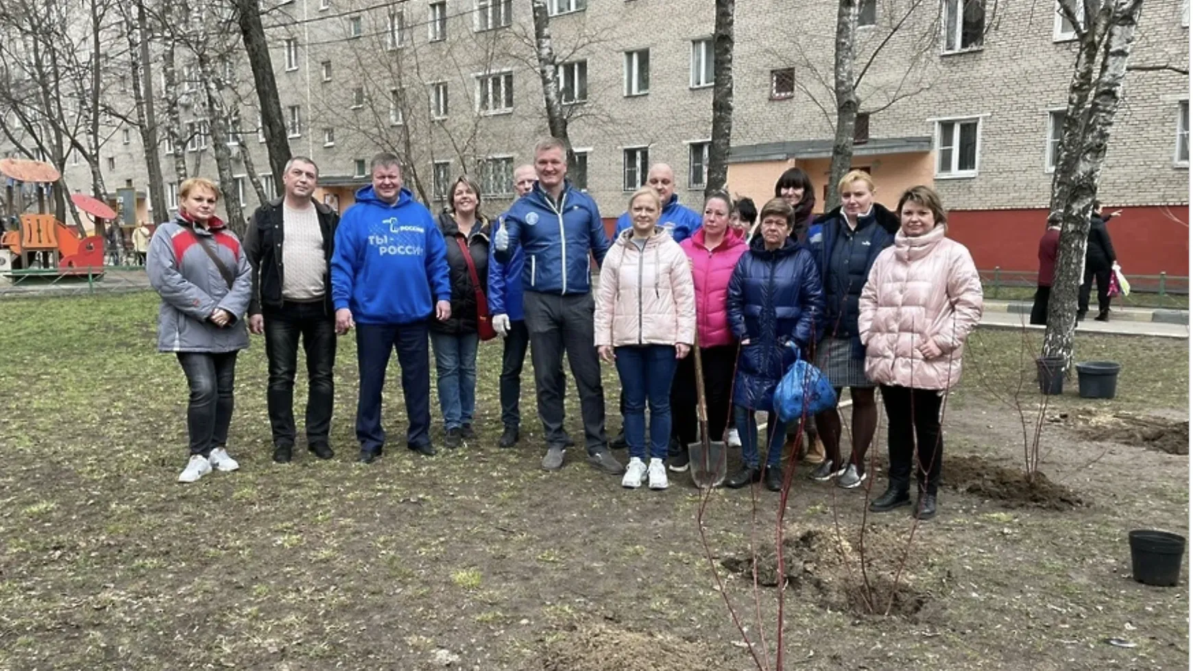Депутаты высадили деревья на дворовой территории Люберец