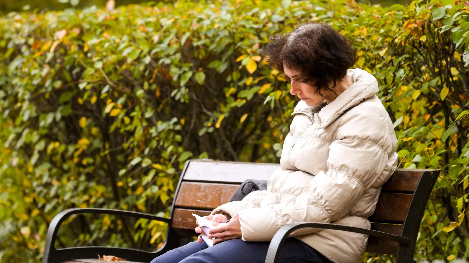 Температура воздуха 3 ноября в Московском регионе может подняться до рекордного значения