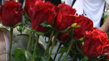Флористы посоветовали влюбленным не дарить второй половинке красные цветы