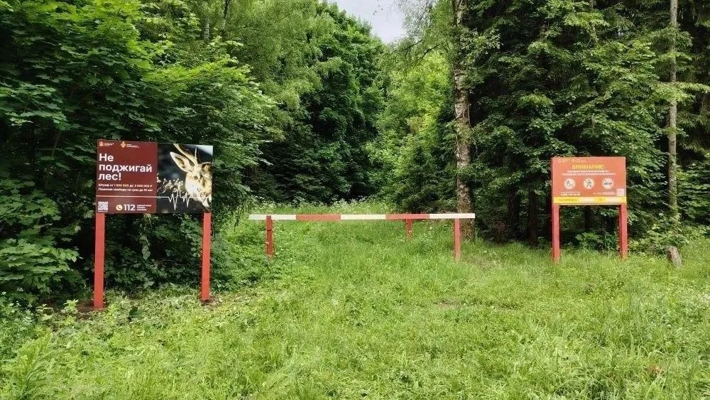 В Истринском округе усилили противопожарную защиту лесов