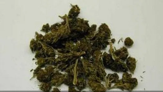 В Кашире полицейские изъяли у пассажира такси 3 свертка с марихуаной