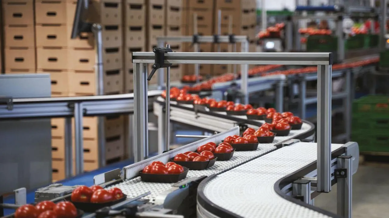 14 подмосковных брендов стали лауреатами премии «Народная марка» — 2025