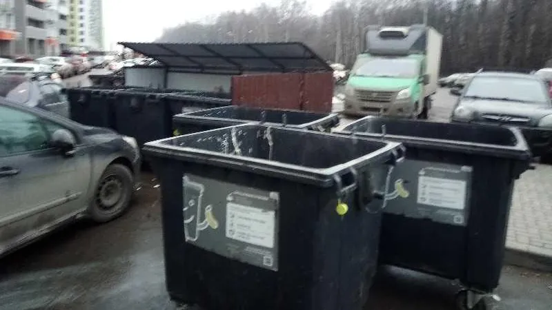 Мусор с контейнерной площадки в Красногорске вывезли по просьбе жителя