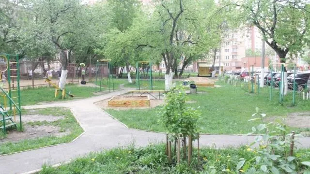 Пресс-служба регионального отделения ОНФ.