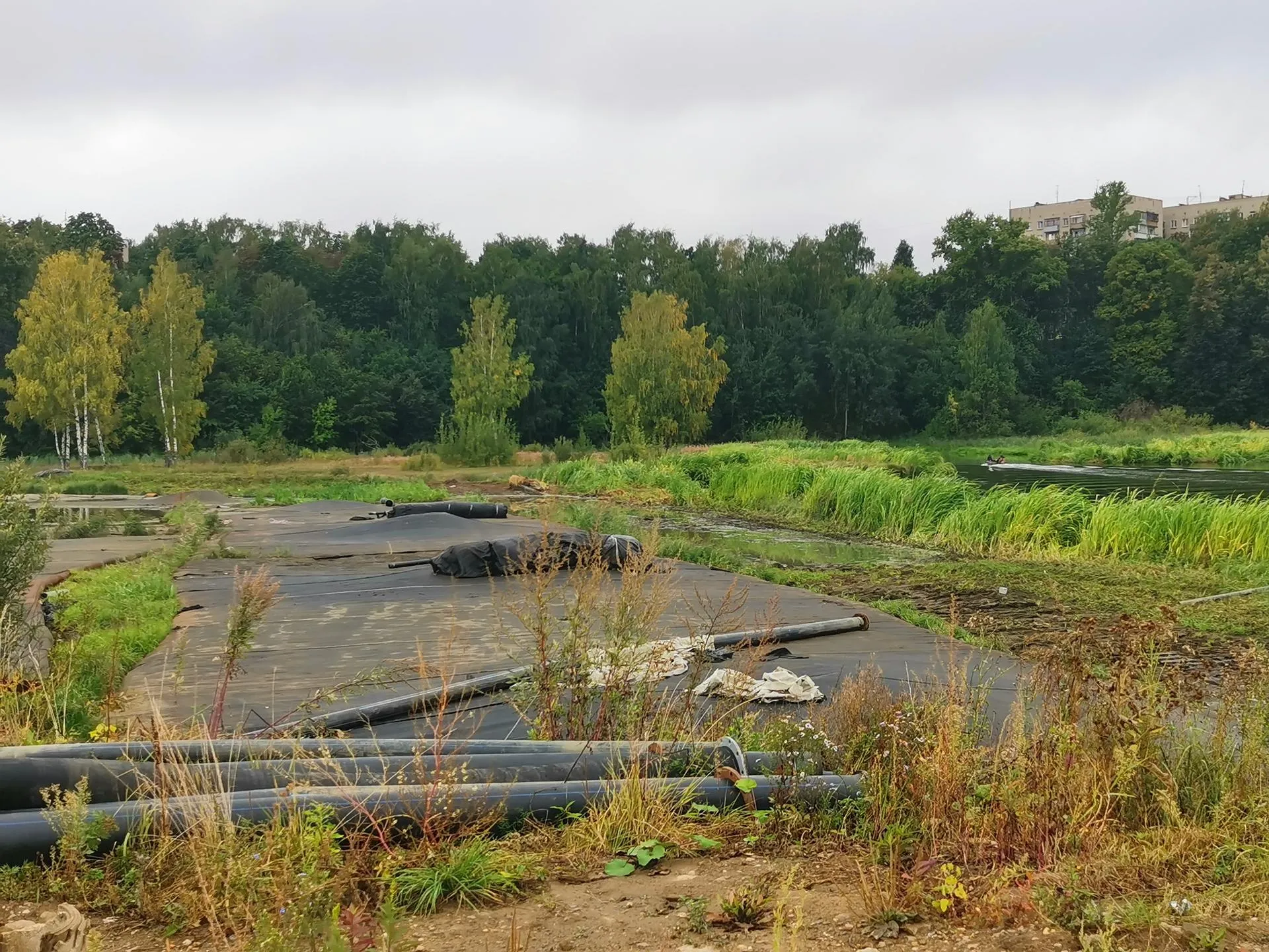 Романова Анастасия