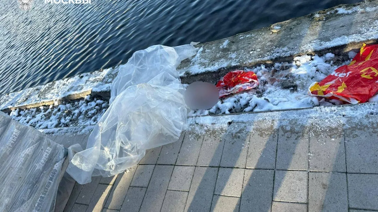 Расчлененный труп ребенка нашли в Гольяновском пруду в Москве