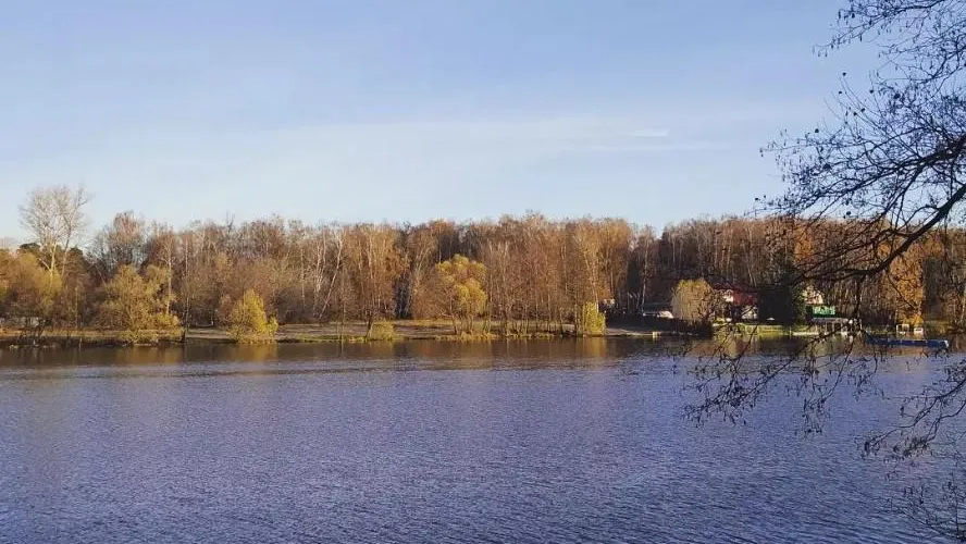 Повышенную концентрацию железа обнаружили в 2 водоемах Люберец