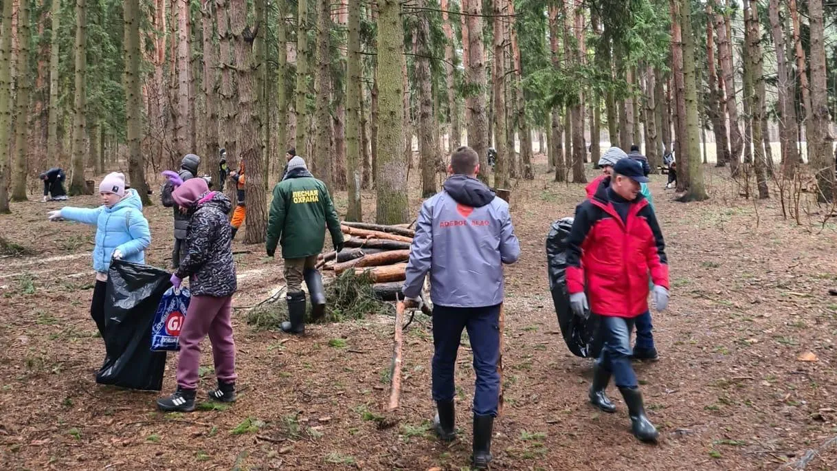 В Подольске в ходе субботника убрали территорию лесопарка «Елочки»