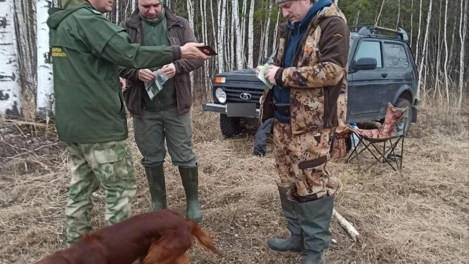 В Подмосковье стартовал сезон охоты на взрослых самцов-лосей
