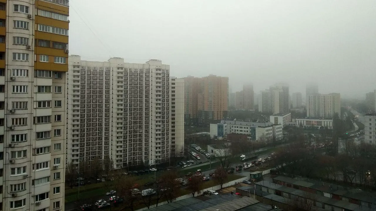 «Желтый» уровень опасности из‑за тумана объявили в Московском регионе на 22–23 декабря