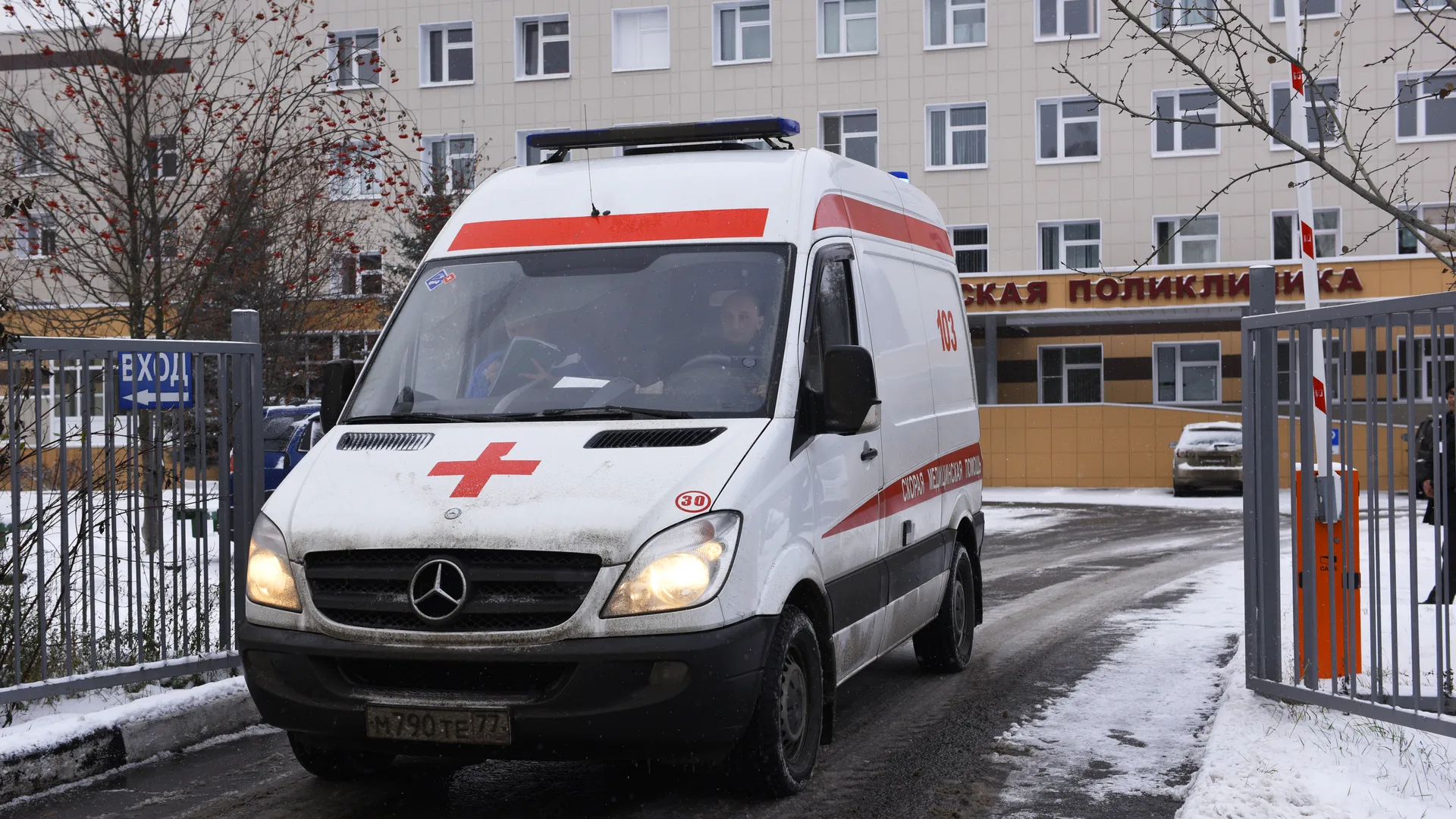 В Красноярске собака вцепилась в лицо 12-летнему мальчику, кормившему ее сосисками
