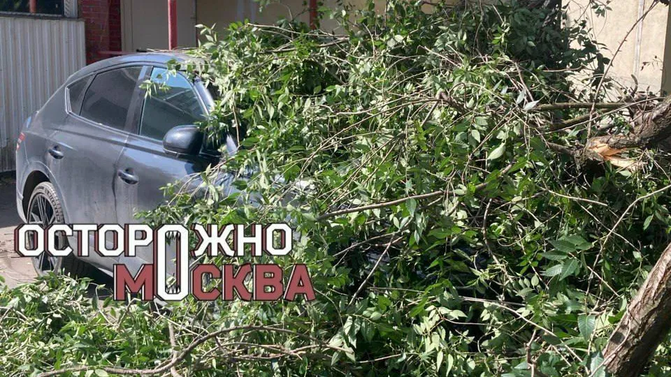 Телеграмм-канал «Осторожно, Москва»