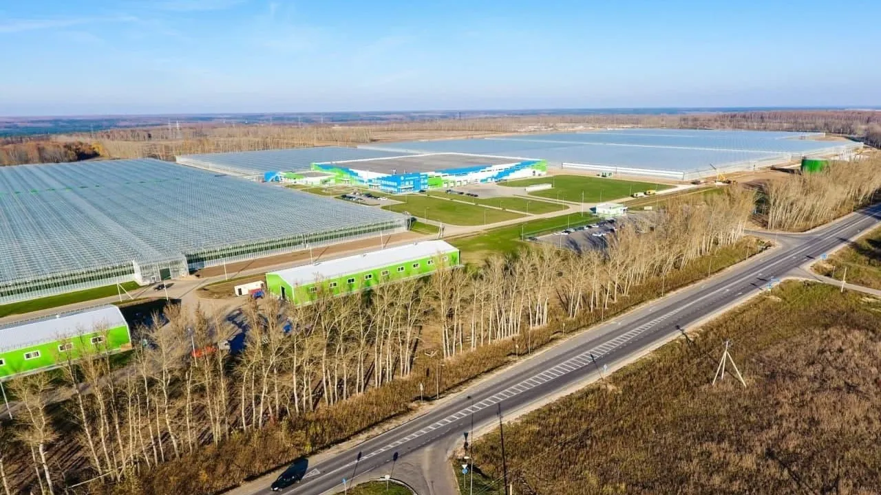 Подмосковной ОЭЗ «Кашира» исполнилось 5 лет