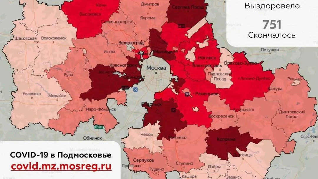 Названы округа‑лидеры Подмосковья по числу новых выявленных случаев Covid‑19